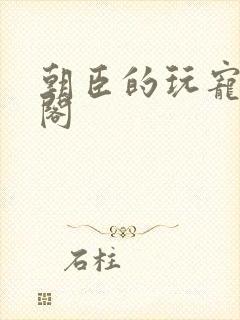 朝臣的玩宠笔趣阁封面