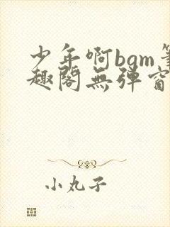少年啊bgm笔趣阁无弹窗免费