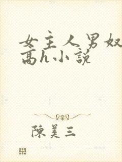 女主人男奴调教高h小说