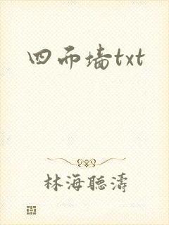 四面墙txt