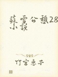 苏雪公憩28篇小说封面