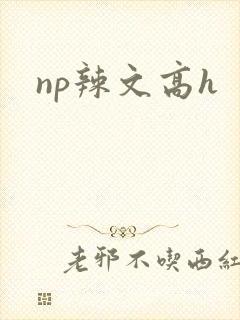 np辣文高h