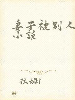 妻子被别人调教小说