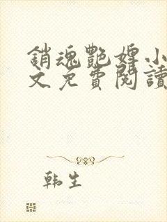销魂艳婢小说全文免费阅读封面