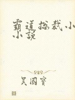 霸道总裁小娇妻小说
