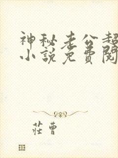 神秘老公超级甜小说免费阅读全文