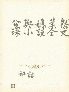 公与媳叶然严临琛小说全文免费阅读