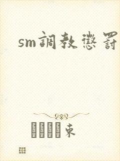 sm调教惩罚文封面