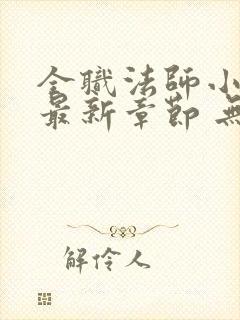 全职法师小说 最新章节 无弹窗