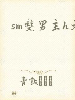sm双男主h文