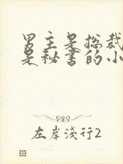男主是总裁女主是秘书的小说