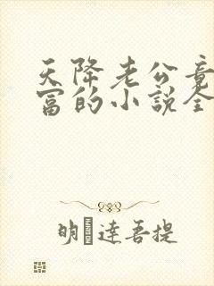 天降老公竟是首富的小说全文阅读