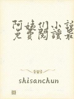 阿姨们小说全文免费阅读最新章节