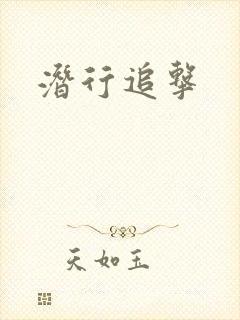 潜行追击