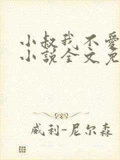 小叔我不爱你了小说全文免费阅读封面