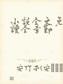 小说全文免费阅读全章节