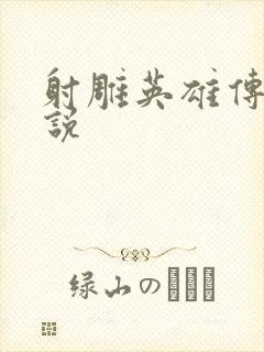 射雕英雄传 小说