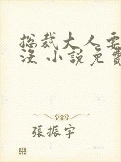 总裁大人要够了没 小说免费阅读