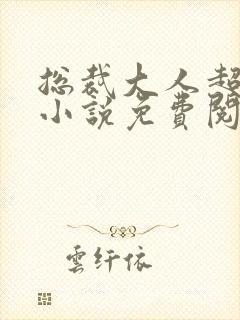 总裁大人超给力小说免费阅读全文无弹窗