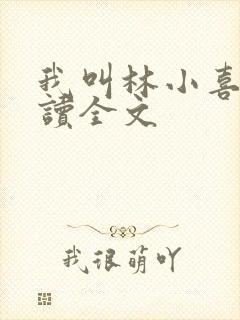 我叫林小喜全阅读全文封面