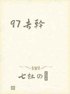 97去干封面