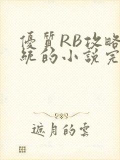 优质RB攻略系统的小说完整版封面