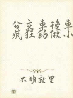 公交车后车座的疯狂的做小封面