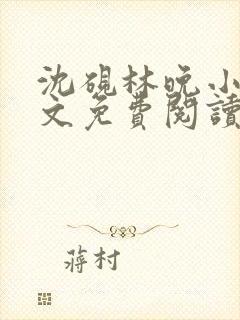 沈砚林晚小说全文免费阅读