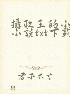 摄政王的小闲妻小说txt下载
