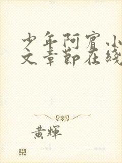 少年阿宾小说全文章节在线观看免费封面