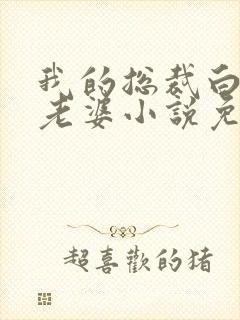 我的总裁白富美老婆小说免费在线听封面