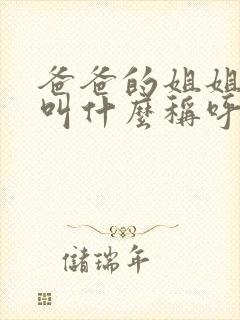 爸爸的姐姐儿子叫什么称呼