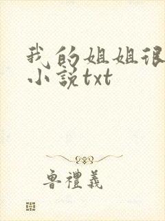 我的姐姐很弟控小说txt封面