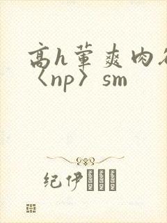 高h荤爽肉欲文〈np〉sm