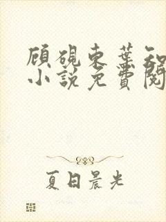 顾砚东叶知安的小说免费阅读全文