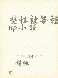 双性被各种淫玩np小说封面