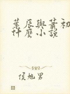 叶辰与萧初然是什么小说