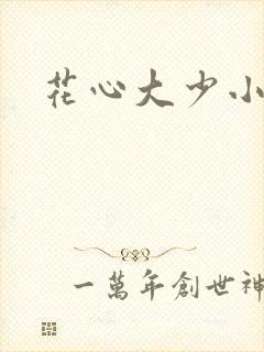 花心大少小说