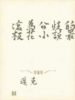 沧为公歧的清纯校花小说最新章节更封面