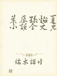 叶辰孙怡夏若雪小说全文免费阅读