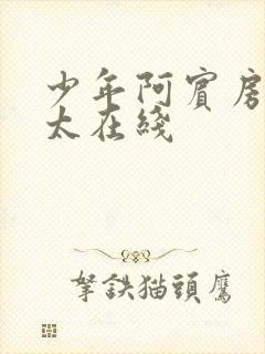 少年阿宾房东太太在线