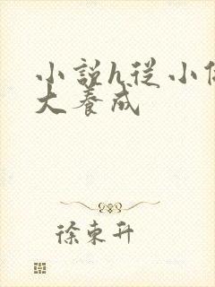 小说h从小做到大养成封面