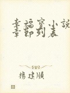 幸福宝小说最新章节列表封面