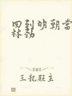 回到明朝当王爷林劲
