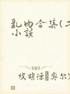 乱肉合集(二)小说
