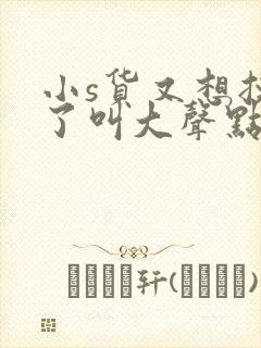 小s货又想挨c了叫大声点