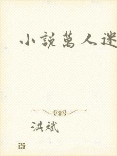 小说万人迷h
