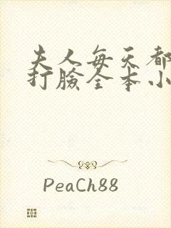 夫人每天都在线打脸全本小说阅读
