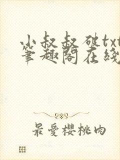 小叔叔破txt笔趣阁在线阅读封面