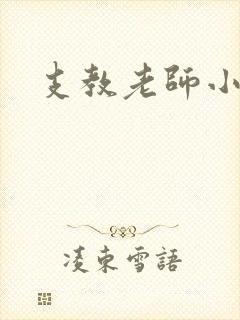 支教老师小说封面